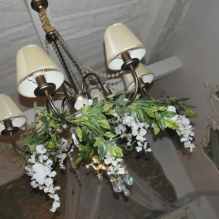 Bed and Breakfast Bb Lady Castelvetro di Modena Esterno foto